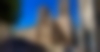 montpellier-arc-triomphe-05