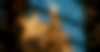 montpellier-hivernales-montpellier-03.jpg