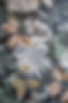 Nouveau%20projet%20(70)